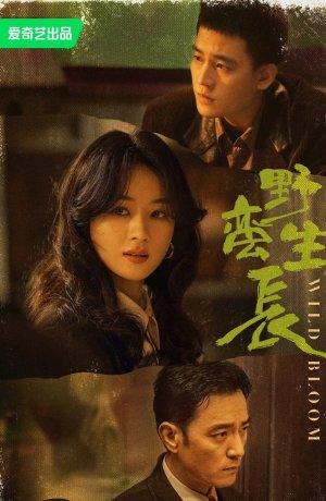 Дорама Дикий цветок онлайн