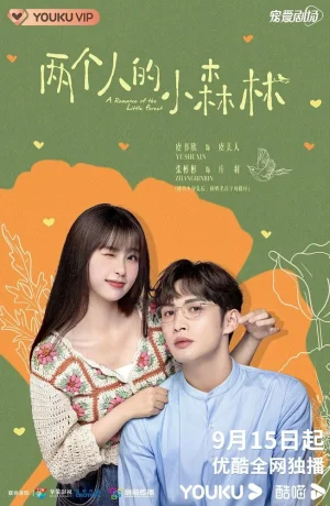 Дорама Роман в маленьком лесу онлайн